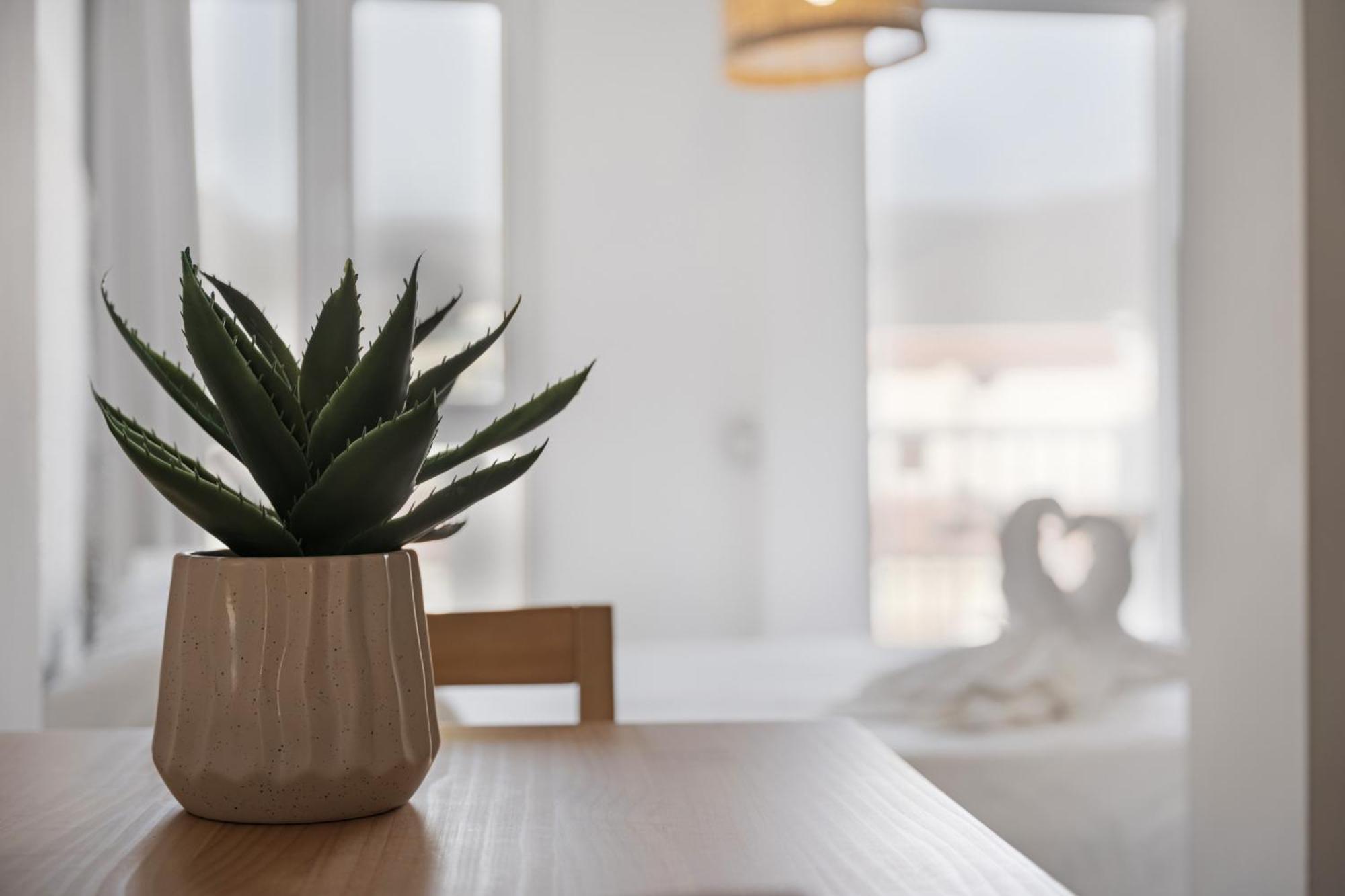 Apartamento La Pista Sur San Sebastian De La Gomera Ngoại thất bức ảnh